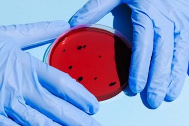 New molecules uncovered in small training lab