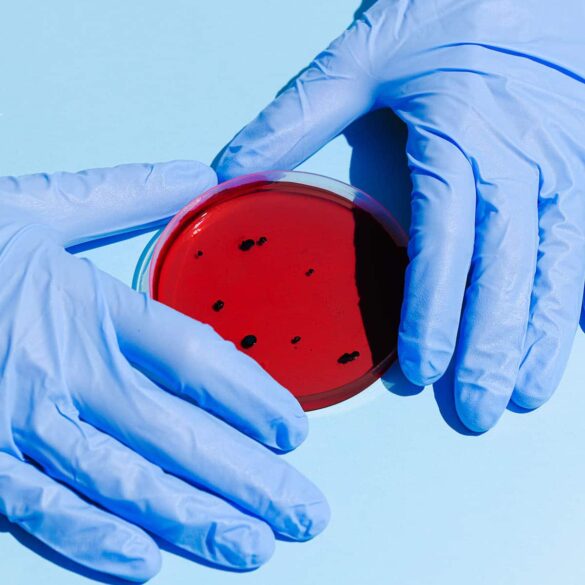 New molecules uncovered in small training lab New molecules uncovered in small training lab