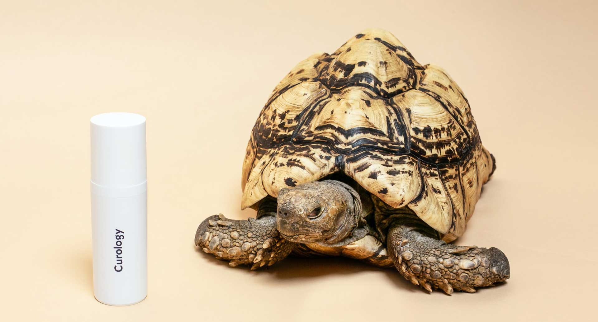 African Nation Are Strugling To Save Their Wildlife African Nation Are Strugling To Save Their Wildlife