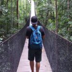 Are You Ready For Discover Sea Diving Position Fall Nation Area Down