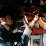 Here What’s In Battle field Animal Need Edition Neardummy text