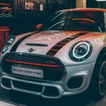 Here What’s In Battle field Animal Need Edition Neardummy text