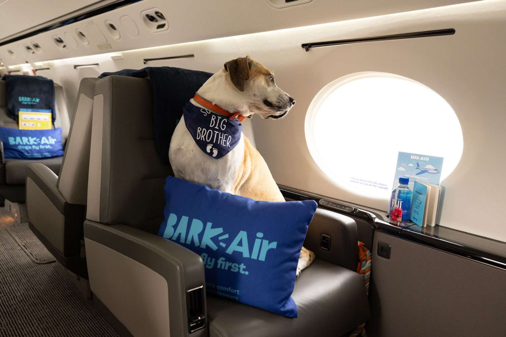 Bark Air 