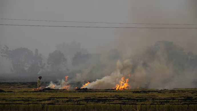 Punjab
