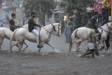 INDIA RAIN UPDATE  :કેરળ, મહારાષ્ટ્ર, ગુજરાતમાં ચોમાસાના પ્રકોપથી 15 લોકોના મોત; IMDએ વધુ વરસાદની ચેતવણી આપી.
