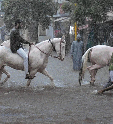 INDIA RAIN UPDATE  :કેરળ, મહારાષ્ટ્ર, ગુજરાતમાં ચોમાસાના પ્રકોપથી 15 લોકોના મોત; IMDએ વધુ વરસાદની ચેતવણી આપી.