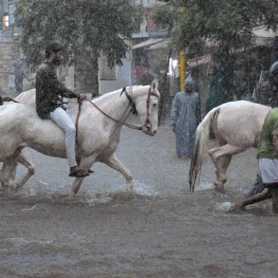 INDIA RAIN UPDATE  :કેરળ, મહારાષ્ટ્ર, ગુજરાતમાં ચોમાસાના પ્રકોપથી 15 લોકોના મોત; IMDએ વધુ વરસાદની ચેતવણી આપી.