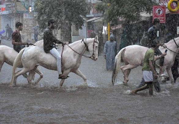 INDIA RAIN UPDATE  :કેરળ, મહારાષ્ટ્ર, ગુજરાતમાં ચોમાસાના પ્રકોપથી 15 લોકોના મોત; IMDએ વધુ વરસાદની ચેતવણી આપી.