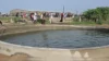 Haunted Well : ગુજરાત ગામનો ‘ભૂતિયા’ કૂવો પાણીની અસામાન્ય ગતિ જોવા માટે કૂવા પાસે ભેગા થયા.