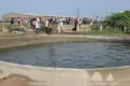 Haunted Well : ગુજરાત ગામનો ‘ભૂતિયા’ કૂવો પાણીની અસામાન્ય ગતિ જોવા માટે કૂવા પાસે ભેગા થયા.