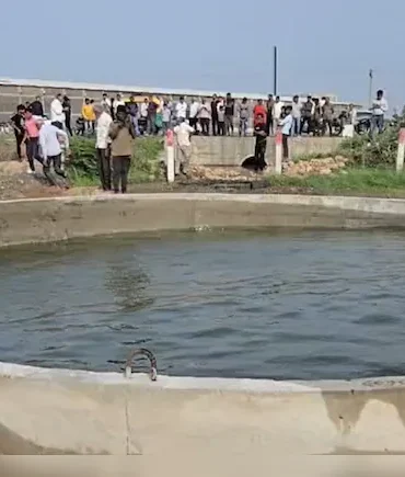 Haunted Well : ગુજરાત ગામનો ‘ભૂતિયા’ કૂવો પાણીની અસામાન્ય ગતિ જોવા માટે કૂવા પાસે ભેગા થયા. Haunted Well : ગુજરાત ગામનો ‘ભૂતિયા’ કૂવો પાણીની અસામાન્ય ગતિ જોવા માટે કૂવા પાસે ભેગા થયા.