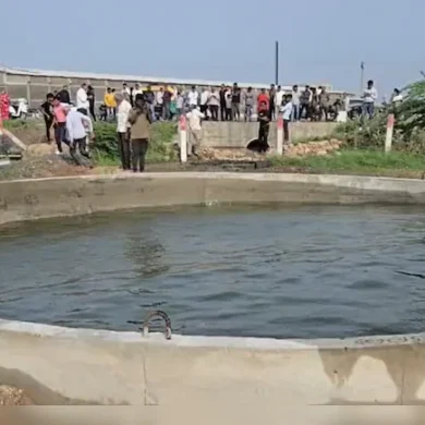 Haunted Well : ગુજરાત ગામનો ‘ભૂતિયા’ કૂવો પાણીની અસામાન્ય ગતિ જોવા માટે કૂવા પાસે ભેગા થયા.